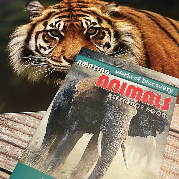 Amazing Animals Puzzle & Book - Picture 6 of 6